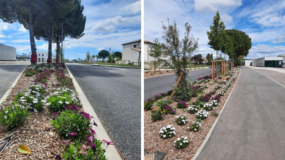 Montpellier - Aménagement de l’avenue de Nîmes à Saint Brès (34).jpg